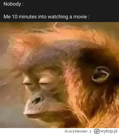 ScarySlender - Memuchy z facebooka najlepsze 
#heheszki