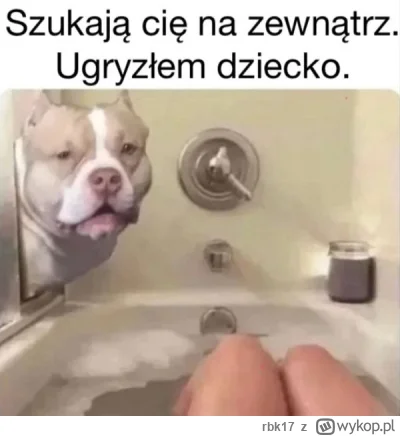 rbk17 - #psiarze #heheszki