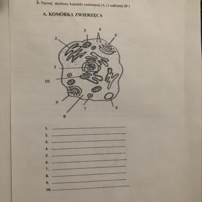 siepan - Szkoda, że takich rzeczy nie zobaczy uczeń na lekcji w szkole. 20 lat temu i...
