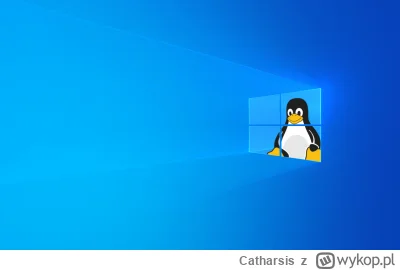 Catharsis - @Pawci0o: Windows 11 jest powodem dla którego przerzuciłem się na Linuxa ...