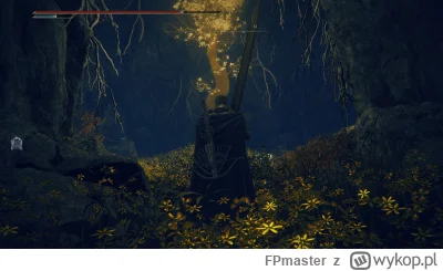 FPmaster - #eldenring #fromsoftware #gry

Guts enjoyer