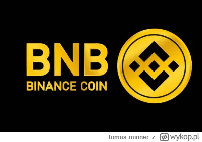 tomas-minner - CEO Binance zaprzecza plotkom o sprzedaży Bitcoinów za BNB Coin 
https...