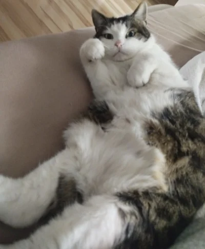 MidnightCowboy - #przegryw ok człowiek