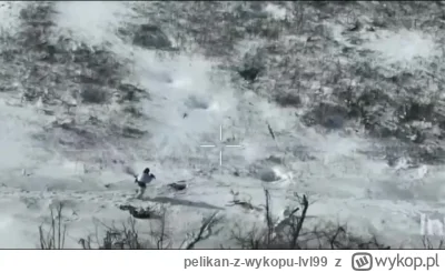 pelikan-z-wykopu-lvl99 - #ukraina #wojna #rosja U większości wykopków ten filmik wywo...