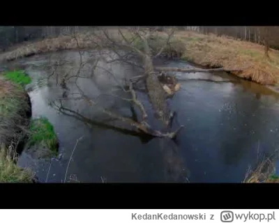 KedanKedanowski - Kolejny, dwudniowy wypad w las. Testowanie "nowego" plecaka i liofi...