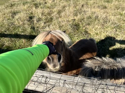 krabozwierz - 614 235 + 66 = 614 301

Kot bez ogona 

W tym tygodniu to już 147km!
#r...