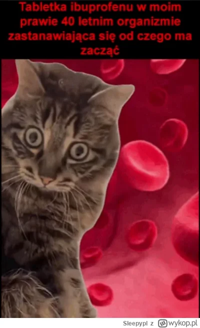 Sleepypl - #heheszki #humorobrazkowy