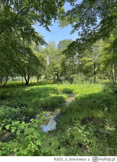 R2D2zSosnowca - @R2D2zSosnowca to też lipcowe z normalnej perspektywy