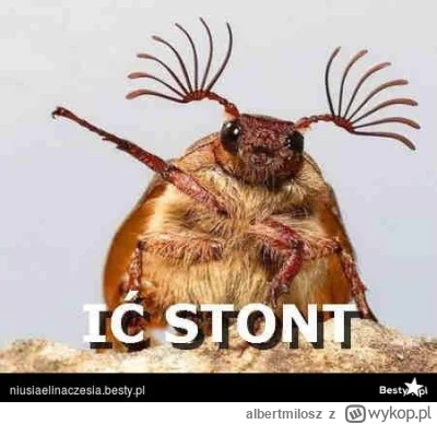 albertmilosz - >Już mówili, "pułka"

@powsinogaszszlaja: Nawet nie jestem w posiadani...