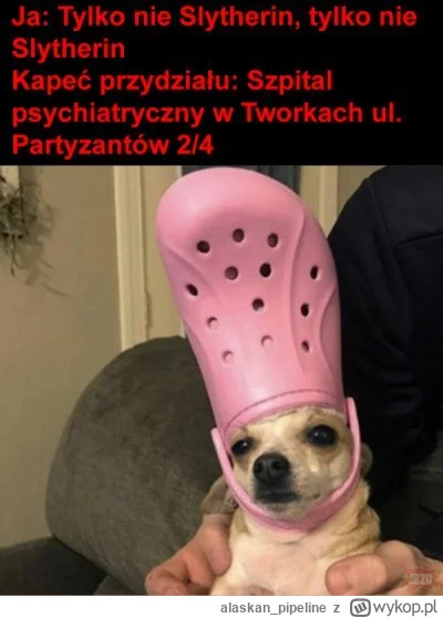 alaskan_pipeline - @cielak44: