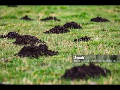 FunnyBou - Jeszcze nie #2137, ale myślę że mam już coś w wykopowych klimatach...
W p...