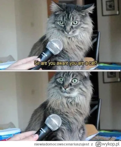 niewiadomocowscenariuszujest