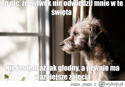 piggy_piggy - https://wykop.pl/link/6965349/tak-smutno-wyglada-psiakobus-samochod-war...