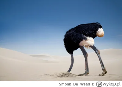 SmonkDaWead - Siup i nagle problemów nie ma ( ͡° ͜ʖ ͡°)