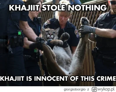 giorgioborgio - #gry #pcmasterrace #konsole #skyrim