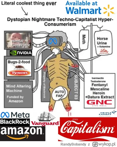 RandyBobandy - Goals. Może oprócz tego hentai.
#neet #memy