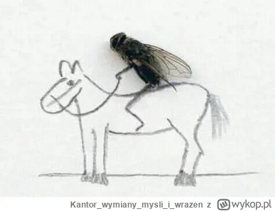 Kantorwymianymysliiwrazen - @tojestmultikonto: ¯\(ツ)/¯