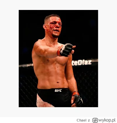 Chael - Nate Diaz wygrywa 

#famemma #primemma