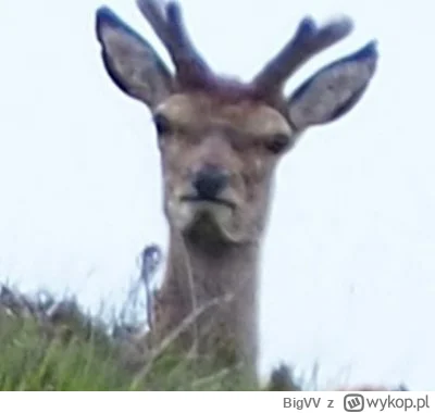 BigVV - #mecz ale że podwójna zmiana napastników przez Guardiolę i prócz Lewego wchod...