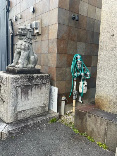 frugASS - #hatsunemiku