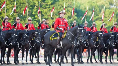 Badmadafakaa - #konie #konieboners #smiesznepieski