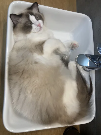 slackbot - @oink_oink: pozdrawiamy ( ͡º ͜ʖ͡º)