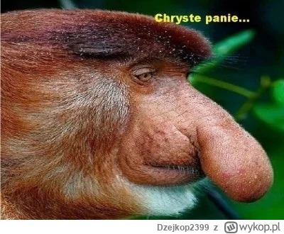 Dzejkop2399 - @sinusik: