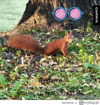 ozmatox - 13 573,87 - 10,01 = 13 563,86



#sztafeta #biegajzwykopem #bieganie #swier...