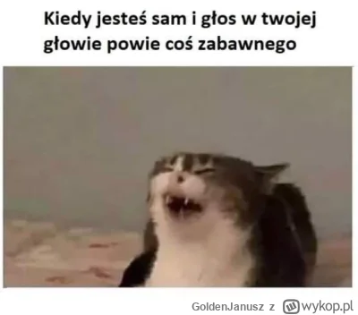 GoldenJanusz - poszedłem do żabki po fajki i akurat złapała mnie retrospekcja na tema...