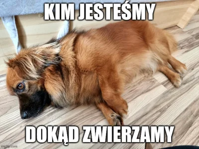 Usmiech_Niebios - @litowo-polimerowy: