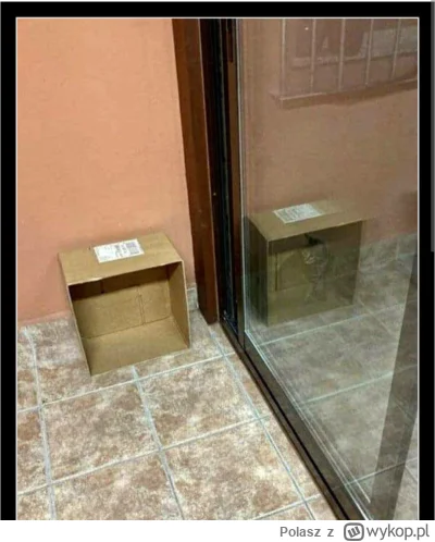 Polasz - Wchodzi kot Schrödingera do baru... i nie wchodzi.
#fizyka #pasjonaciubogieg...