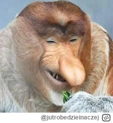 jutrobedzieinaczej - @Urodzony_Kleszczem tymczasem Barabasz