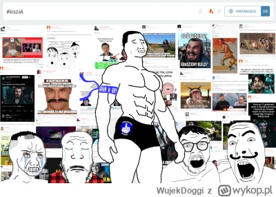 WujekDoggi - #kiszak Podziękowania dla wszystkich plusujących i memujących, przesuwaj...