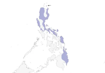 Lifelike - Zasięg występowania (filipiński endemit):