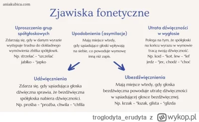 troglodyta_erudyta - @Okcydent
Szanowny pan spróbuje wymówić nazwę Mont Blanc a potem...