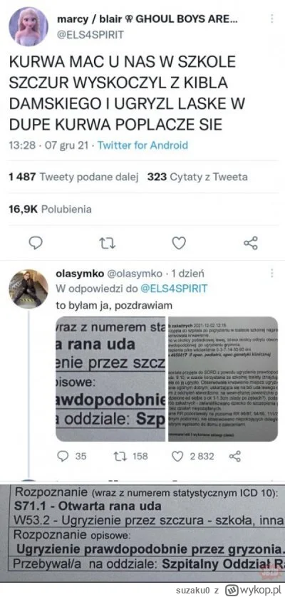 suzaku0 - Król Szczurów nie bierze jeńców
#konkursnanajbardziejgownianymemznosaczem