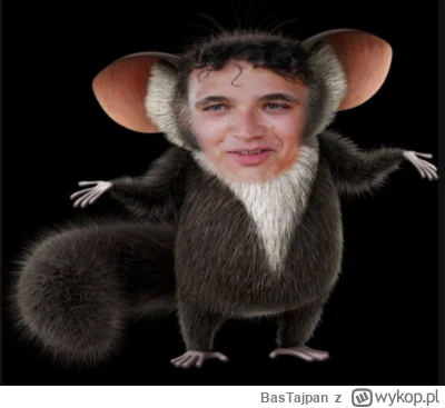 BasTajpan - Norris jest tak przewidywalny, że xD Wystarczy go postraszyć atakiem, a t...