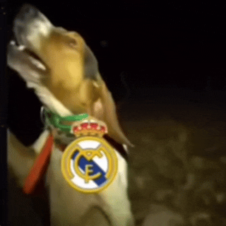 G.....j - PIEKNY JULIAN ALVAREZ GOOOL MAMY 3-2 ( ͡° ͜ʖ ͡°) hahahaha VAMOOOS!
#mecz #r...