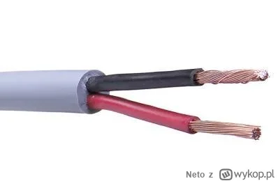 Neto - Audioświry, jakie kupić kable głośnikowe? W opisach kabli najczęściej podają w...