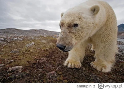 annlupin - ej a jakom muzyczke słuchasz se