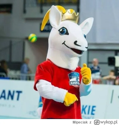Mipeciak - #siatkowka Jedziemy ( ͡° ͜ʖ ͡°)