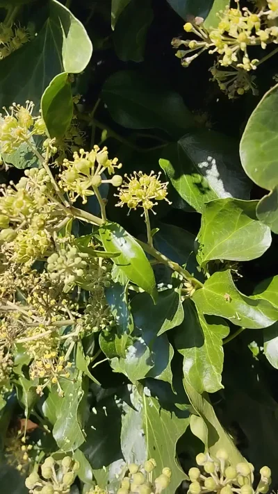 szatanEK666 - @olito: A tak powaznie to tez mnie to dziwi. Nagranie z wczoraj