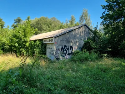 ksiazezbajki - Komu bułkie #warszawa