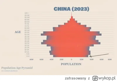 zafrasowany - Demografia korka analnego xD czyli jak upada przyszłość Chin. Oficjalne...