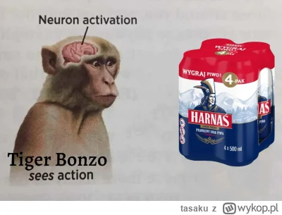 tasaku - akat aktywacja neuronu tego typu bęc #bonzo #patostreamy