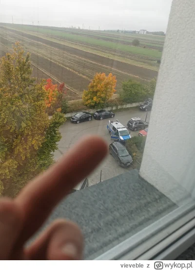 vieveble - Hwdp na 60% bo trochę się cykam
#heheszki