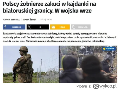 Plotyn - #polityka  #granica #wojna #ukraina #rosja