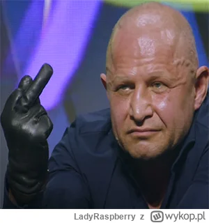 LadyRaspberry - @raistlin31