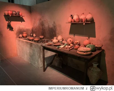 IMPERIUMROMANUM - Rekonstrukcja kuchni w rzymskim barze

Interesująca rekonstrukcja k...