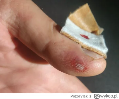 PozorVlak - @Isanell: @xfin @FrankForsyth @Zielonkazdr